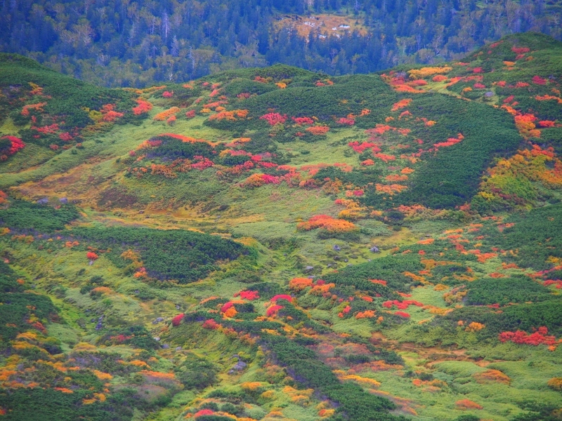 b0335256_20293670.jpg