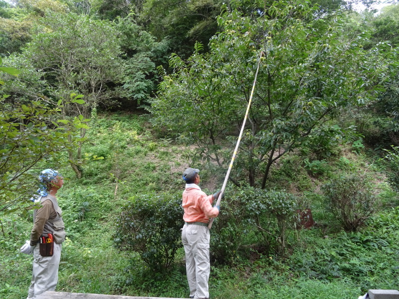 c0108460_18221536.jpg