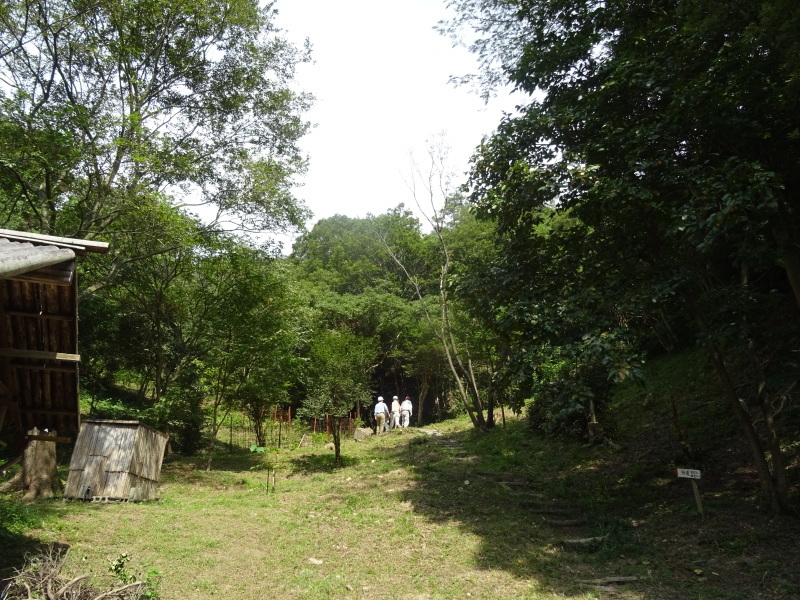 c0108460_18241920.jpg