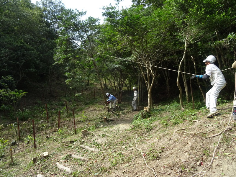 c0108460_18262633.jpg