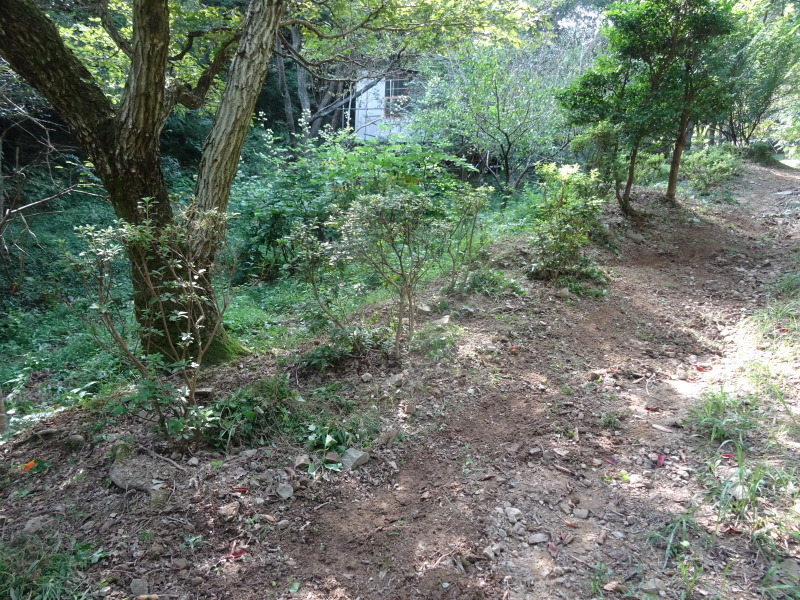 c0108460_18283017.jpg