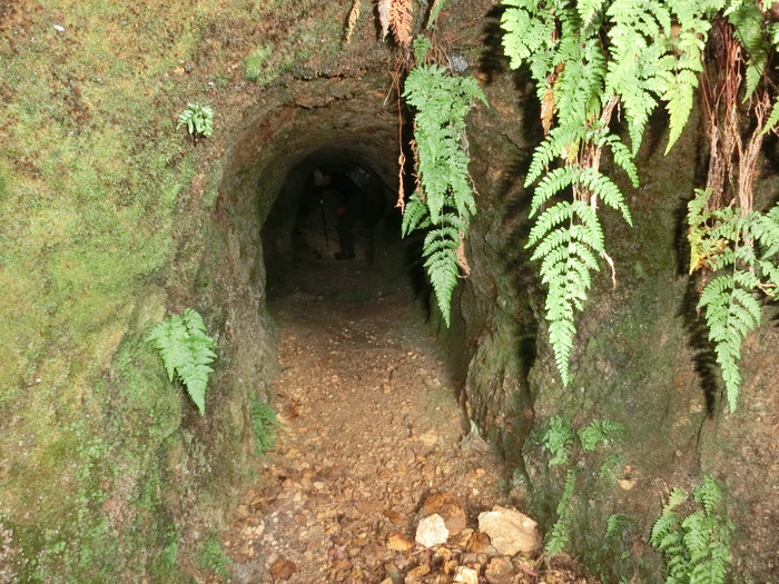 b0185573_1711897.jpg