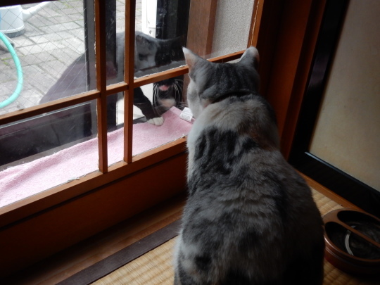 のらくろ安息日_e0355177_18144449.jpg