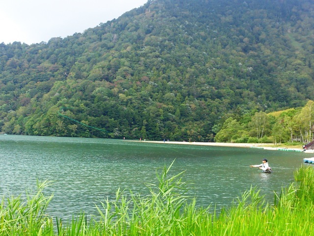 c0157482_10340906.jpg