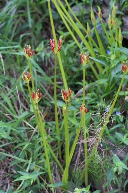 f0140087_1916162.jpg