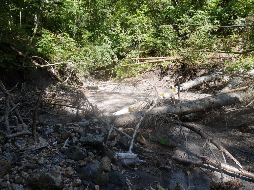 風不死岳三の沢、9月14日_f0138096_10235342.jpg