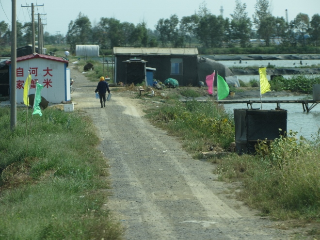 e0033301_23574139.jpg