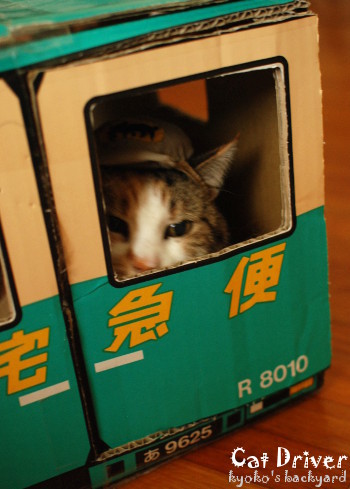 クロネコ運転手 疲れをとるコツ_b0253205_03521903.jpg