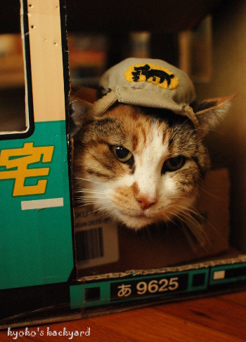 クロネコ運転手 疲れをとるコツ_b0253205_03524097.jpg