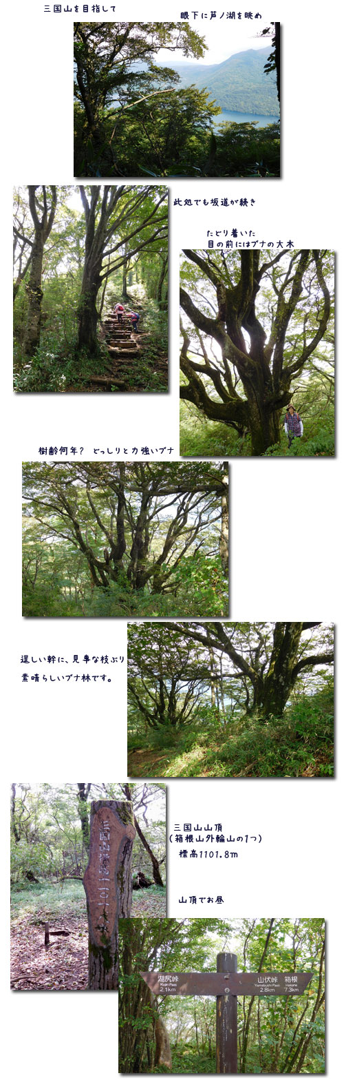 箱根三国山へ_c0051105_210656.jpg