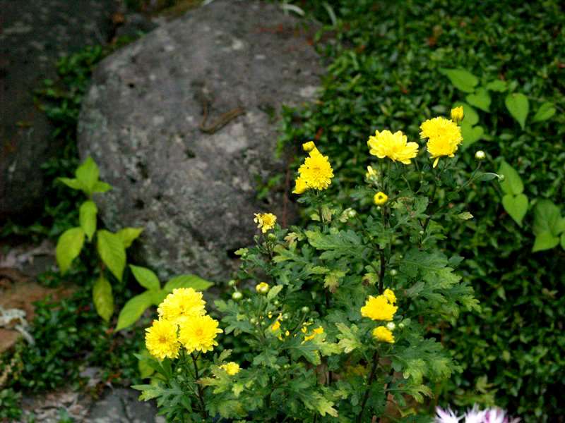 f0120208_16233073.jpg