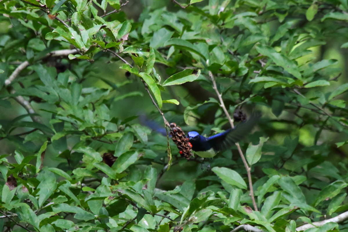 f0349409_17261200.jpg