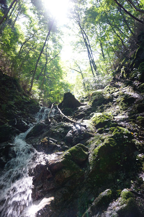 e0077010_2146170.jpg