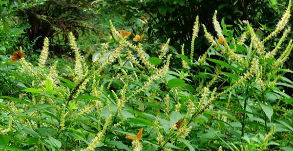 b0137412_23331859.jpg