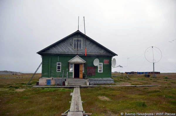 ロシア極北ネネツ自治管区のヴァイガチ島の観測所とアンデルマの街に出現し立ち去らないホッキョクグマたち_a0151913_3475320.jpg