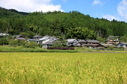 大原の里 農作業風景_e0048413_2142559.jpg