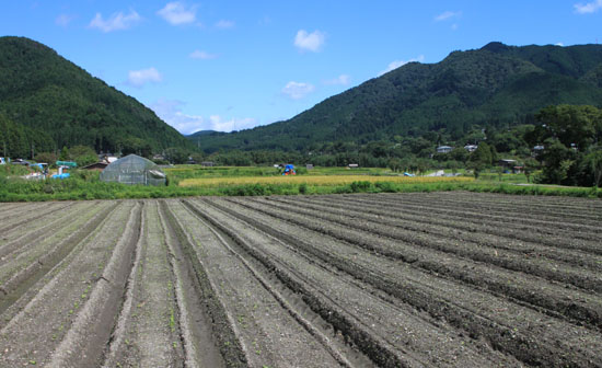 大原の里 農作業風景_e0048413_21434627.jpg
