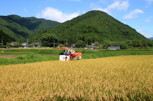 大原の里 農作業風景_e0048413_2144891.jpg