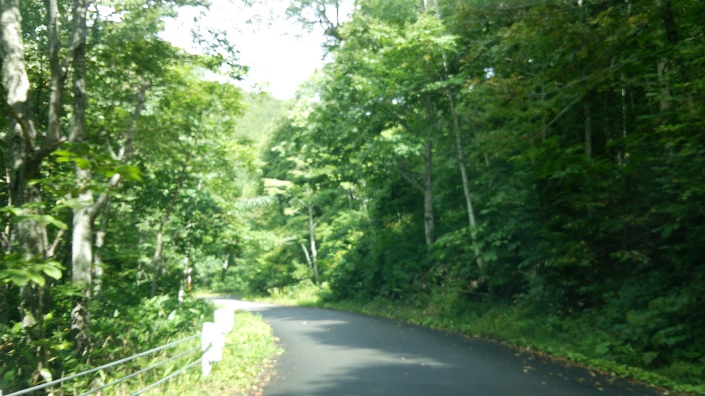 b0228416_10130452.jpg