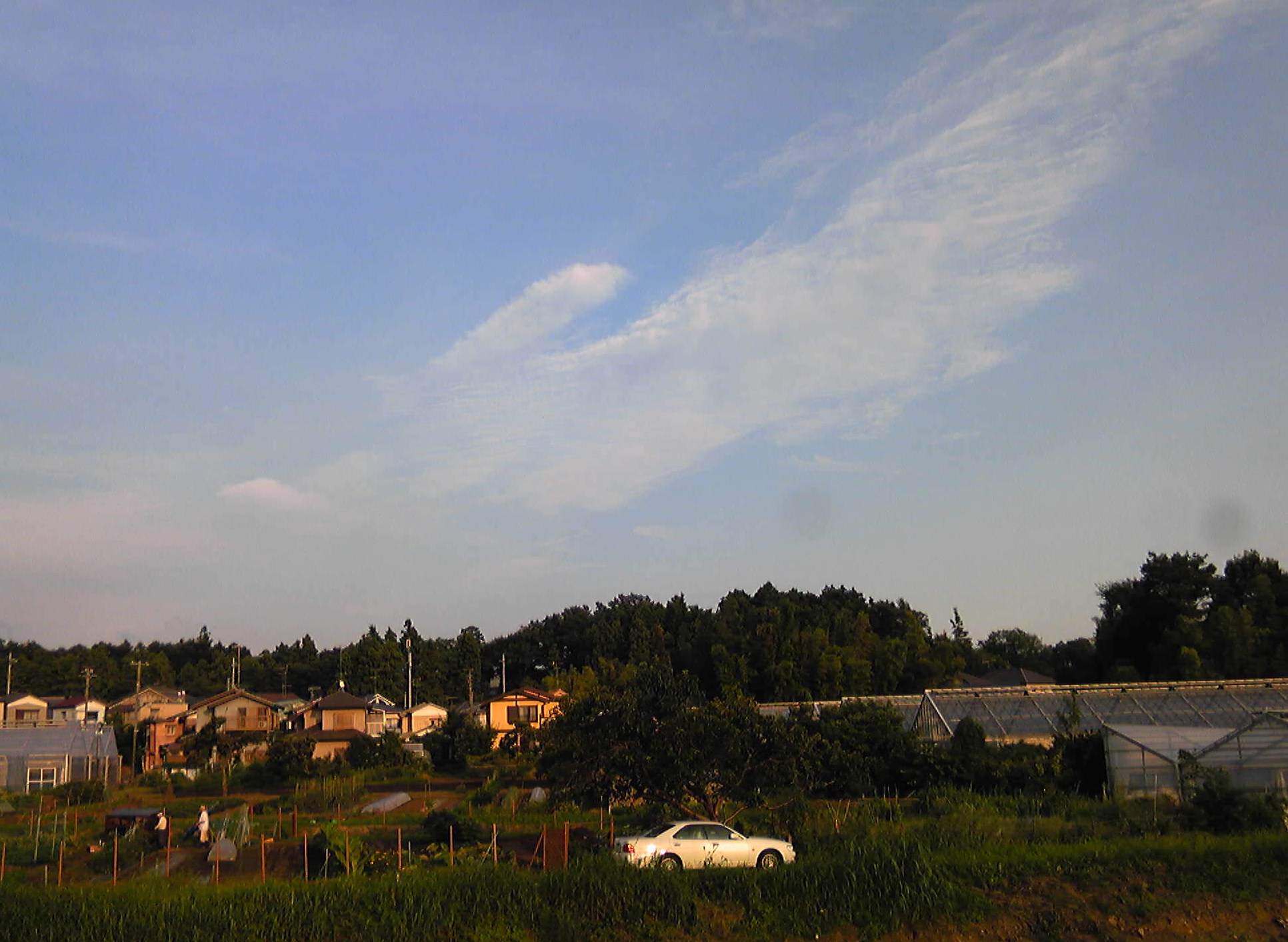 b0285619_20225618.jpg