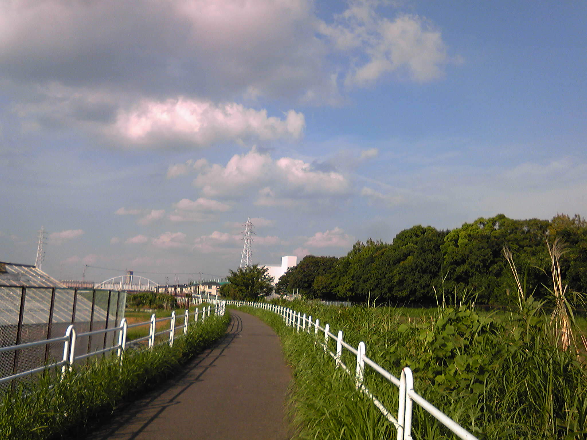 b0285619_20364835.jpg