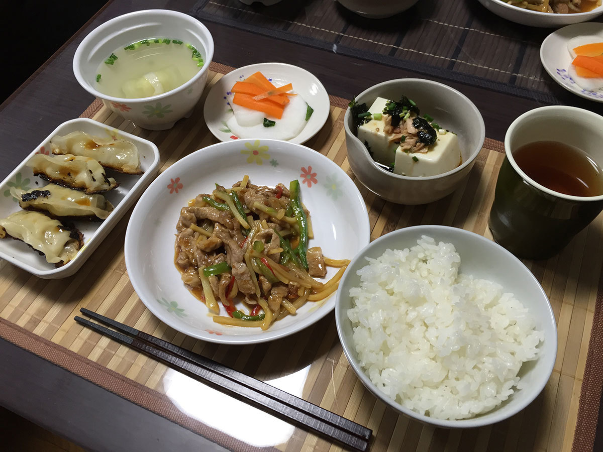 夜・青椒肉絲、餃子、冷奴、ご飯_c0357519_14585334.jpg