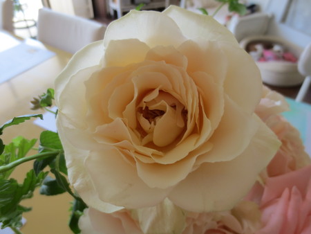 e0131324_650233.jpg