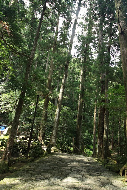 e0321325_11304763.jpg