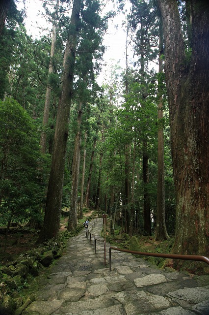 世界遺産・那智の滝　（その1）_e0321325_11322032.jpg