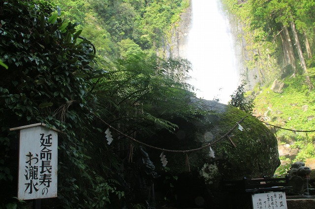 世界遺産・那智の滝　（その1）_e0321325_11393333.jpg