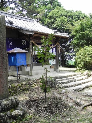 生目神社 2015秋の大祭_f0213825_10251845.jpg