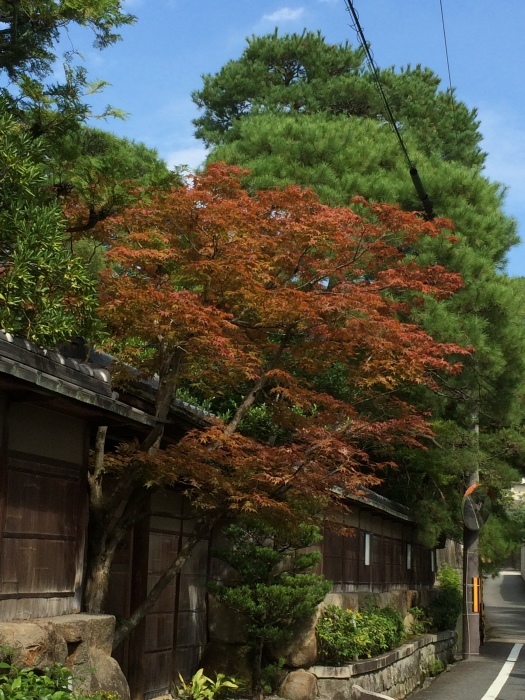 京都　南禅寺_c0353829_23012735.jpg