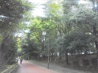 c0076939_2131224.jpg