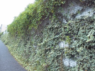 c0076939_21315827.jpg