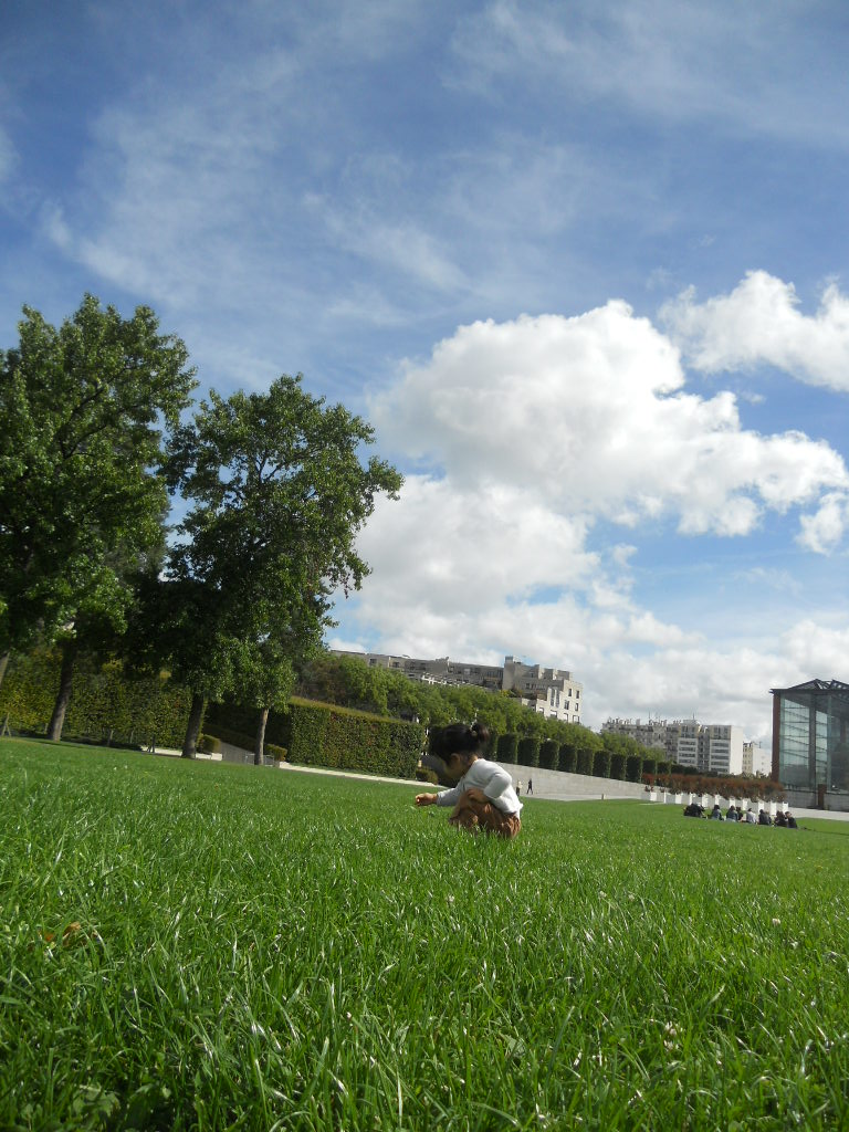 e0300042_081642.jpg