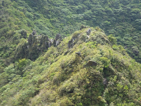 e0164643_1637268.jpg