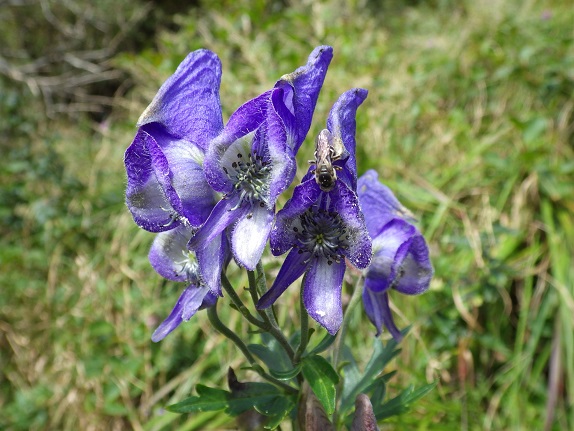 e0164643_1693715.jpg