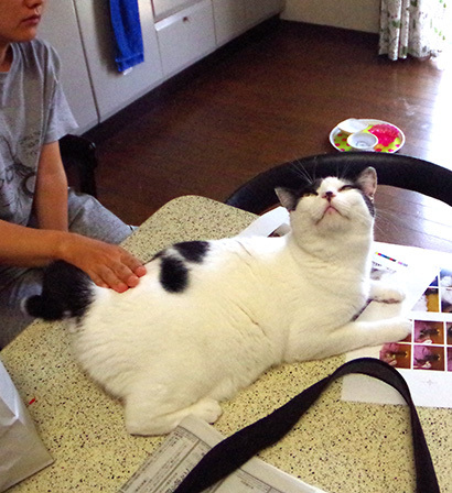ママ、そこっ！_a0028451_12490522.jpg
