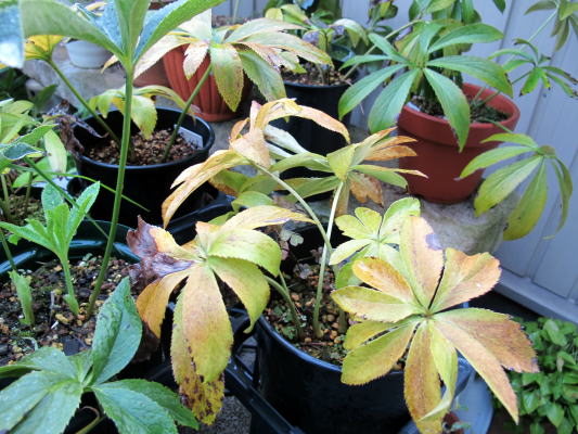 c0147952_0132148.jpg