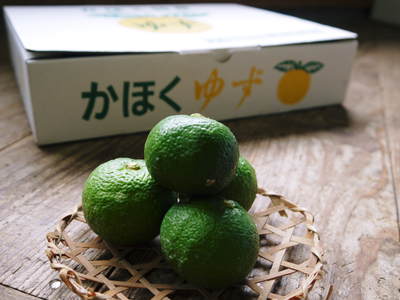 香り高き柚子(ゆず) 柚子こしょう用の香り高き『青柚子』 9月25日(金)より出荷します!!_a0254656_176543.jpg