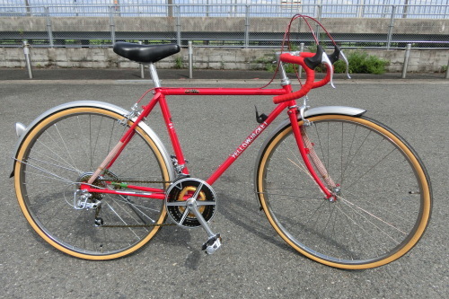 ゼブラ自転車　イエロージャケット_b0332867_00370775.jpg