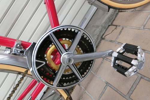 ゼブラ自転車 イエロージャケット_b0332867_00483505.jpg