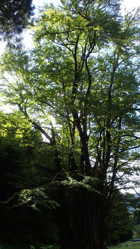 e0024081_08160276.jpg