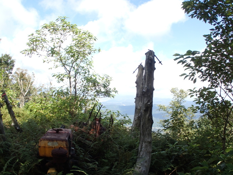 e0024081_08244816.jpg