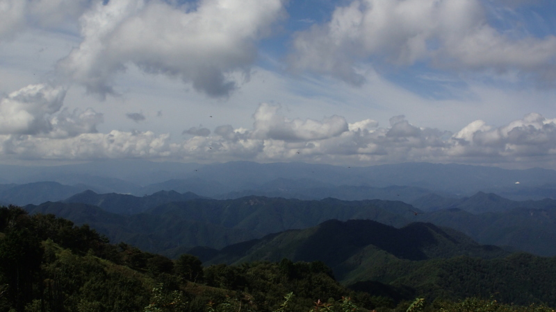 e0024081_08293062.jpg