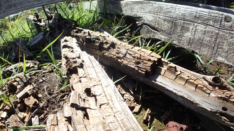 e0024081_08330050.jpg