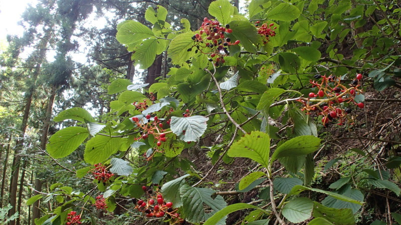e0024081_08393169.jpg