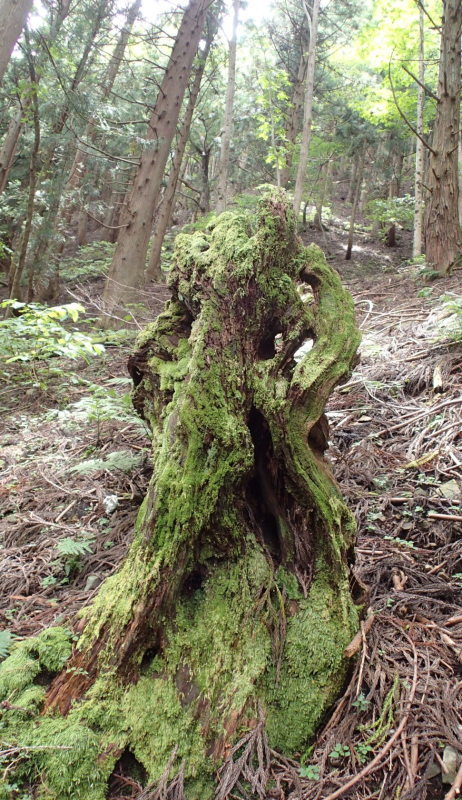 e0024081_08403835.jpg