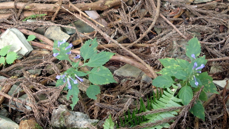 e0024081_08421461.jpg