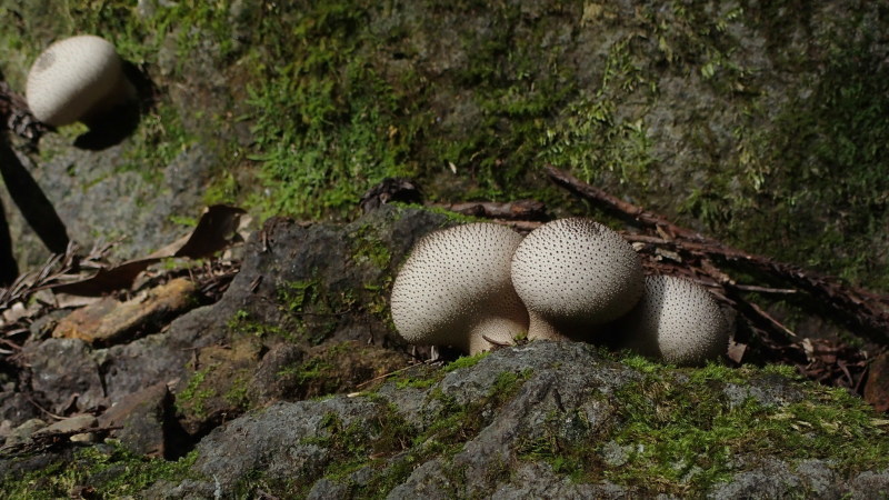 e0024081_08440770.jpg